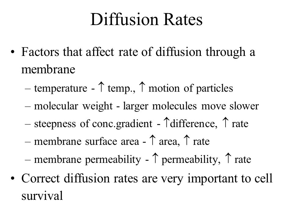 how does molecular weight affect diffusion