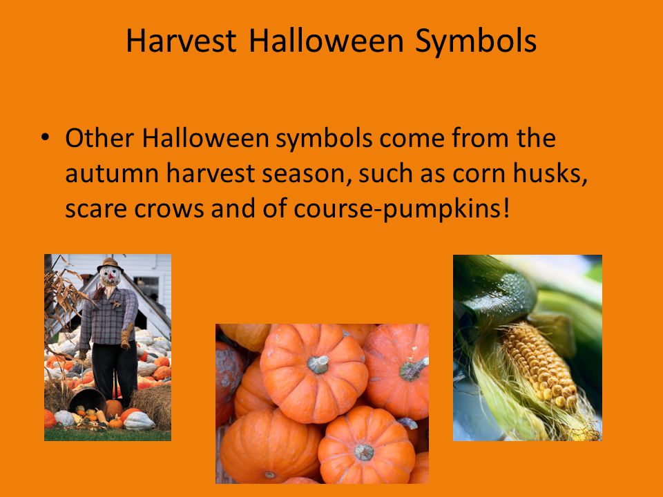 Harvest Halloween Symbols