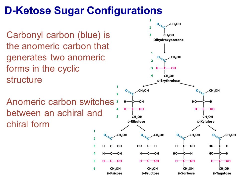 beta structure glucose ppt online Structure and video Function Carbohydrates: beta structure glucose ppt online Structure and video Function Carbohydrates: