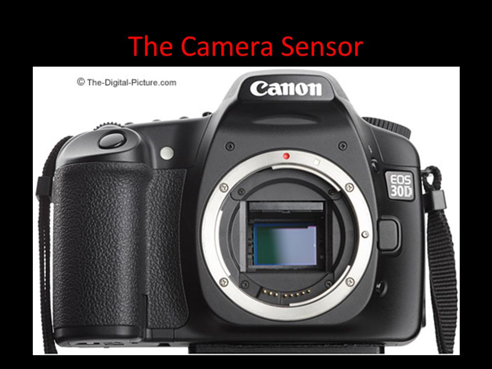 The Camera Sensor