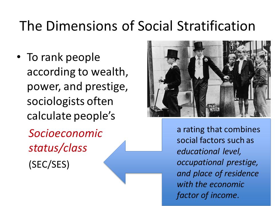 The Dimensions of Social Stratification