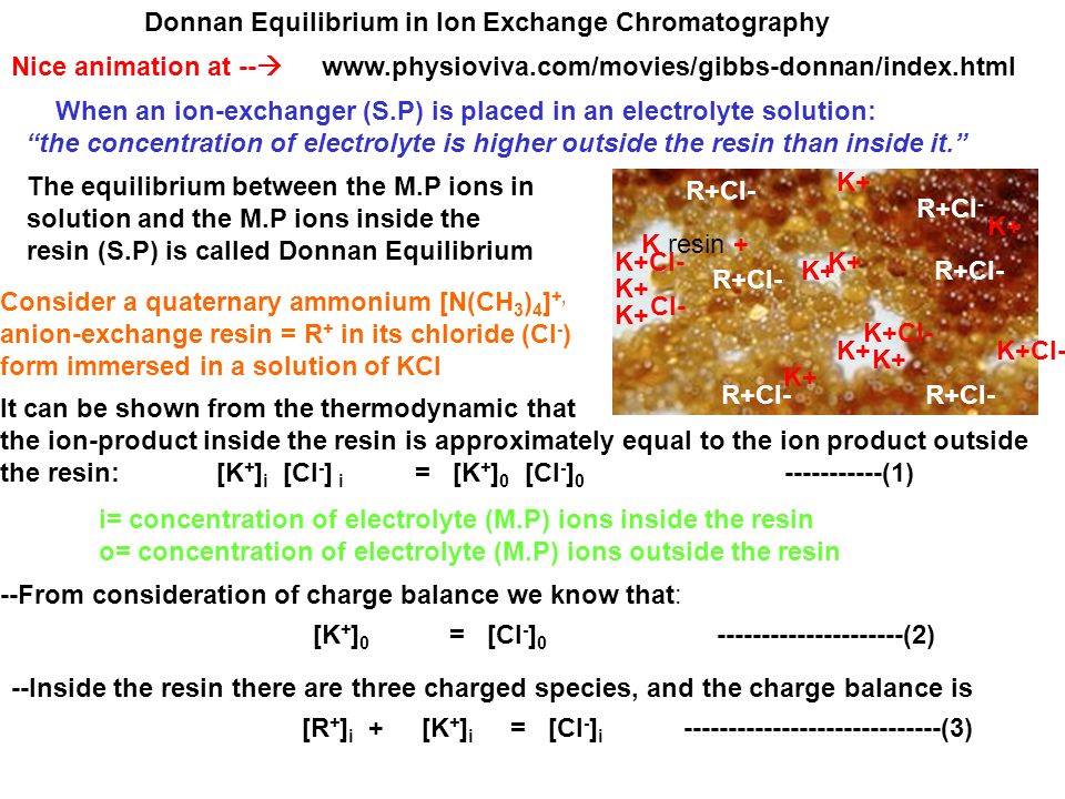 Ion Exchange Chromatography - ppt video online download