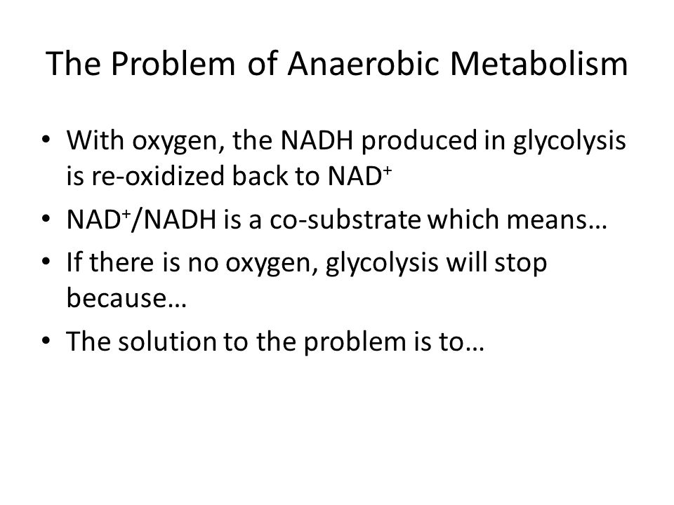 The Problem of Anaerobic Metabolism