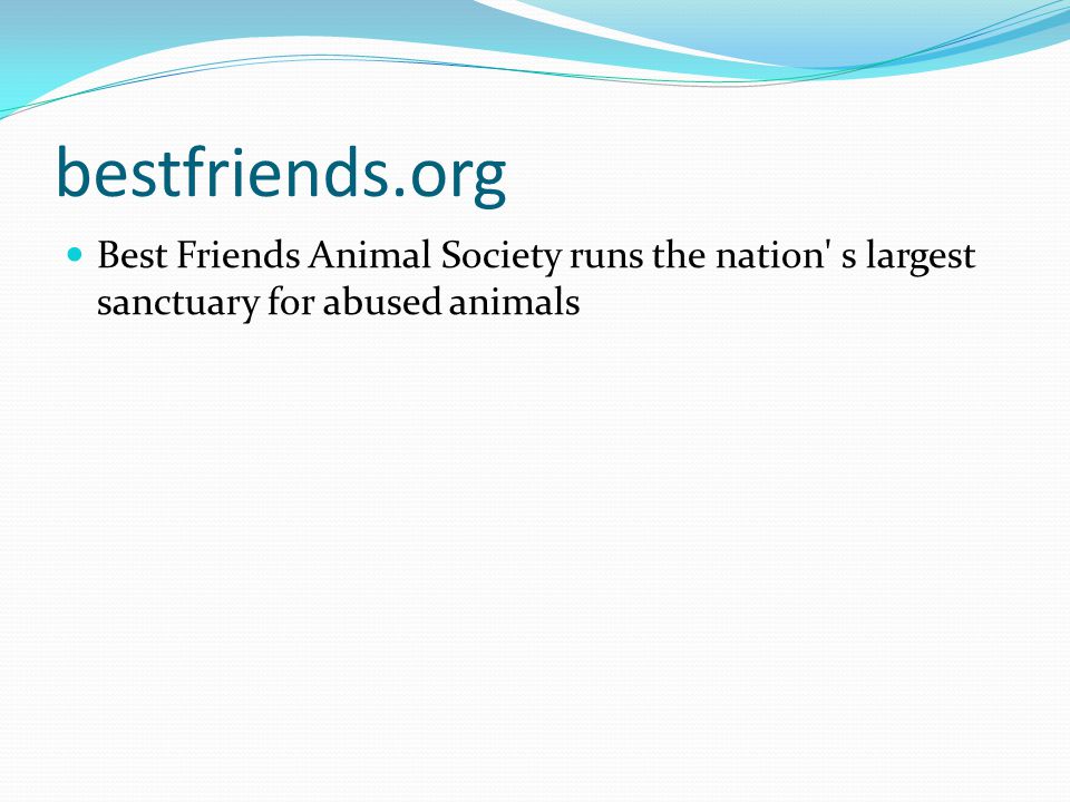 bestfriends.org Best Friends Animal Society runs the nation s largest sanctuary for abused animals