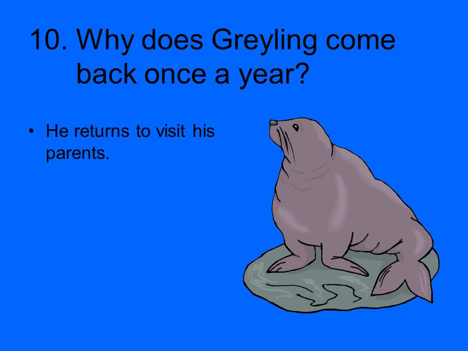 10. Why does Greyling come back once a year