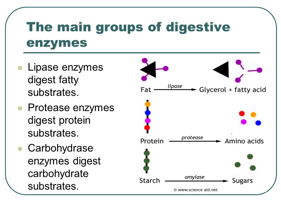 the energy losses accompanying ionization and resonance