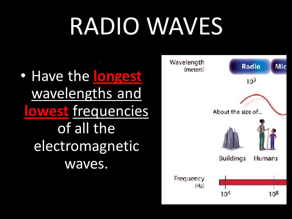 RADIO WAVES Have the longest wavelengths and lowest frequencies of all the electromagnetic waves.