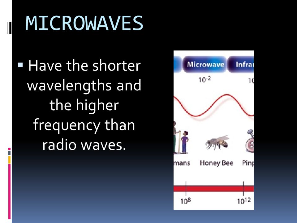 MICROWAVES Have the shorter wavelengths and the higher frequency than radio waves.