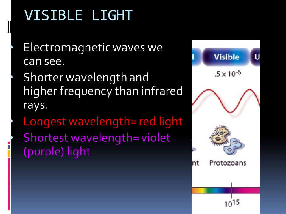 VISIBLE LIGHT Electromagnetic waves we can see.