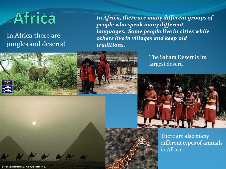 Africa In Africa there are jungles and deserts!