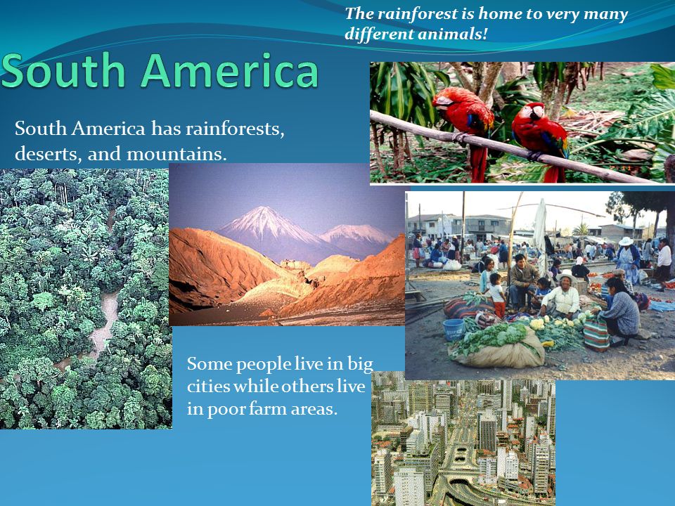 South America South America has rainforests, deserts, and mountains.