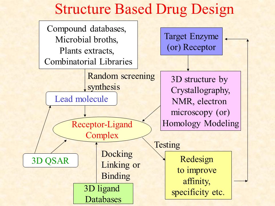 Structure Based Drug Design Ppt Video Online Download