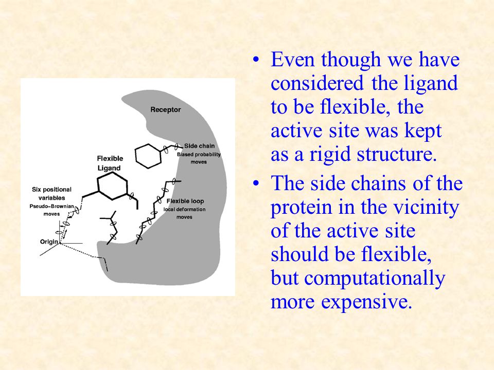 Even though we have considered the ligand to be flexible, the active site was kept as a rigid structure.