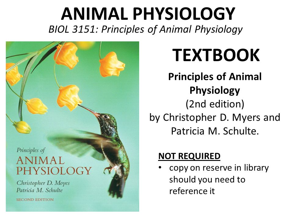 Principles of Animal Physiology - ppt video online download Principles of Animal Physiology - ppt video online download