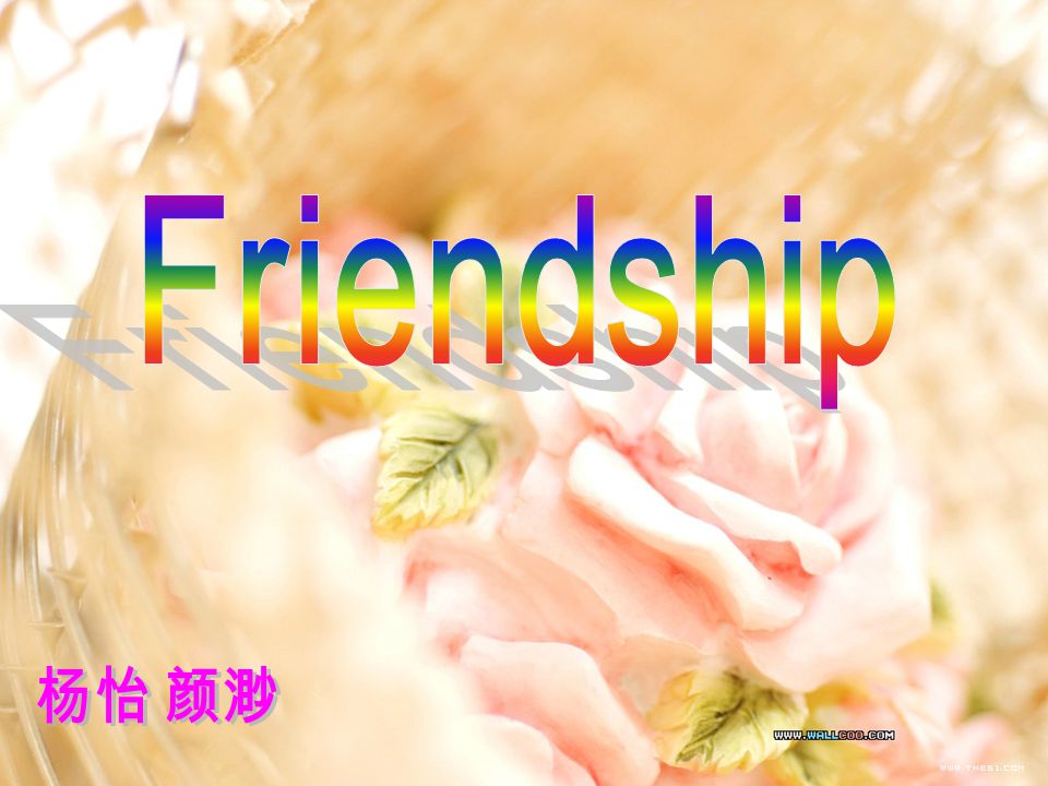 Friendship 杨怡 颜渺