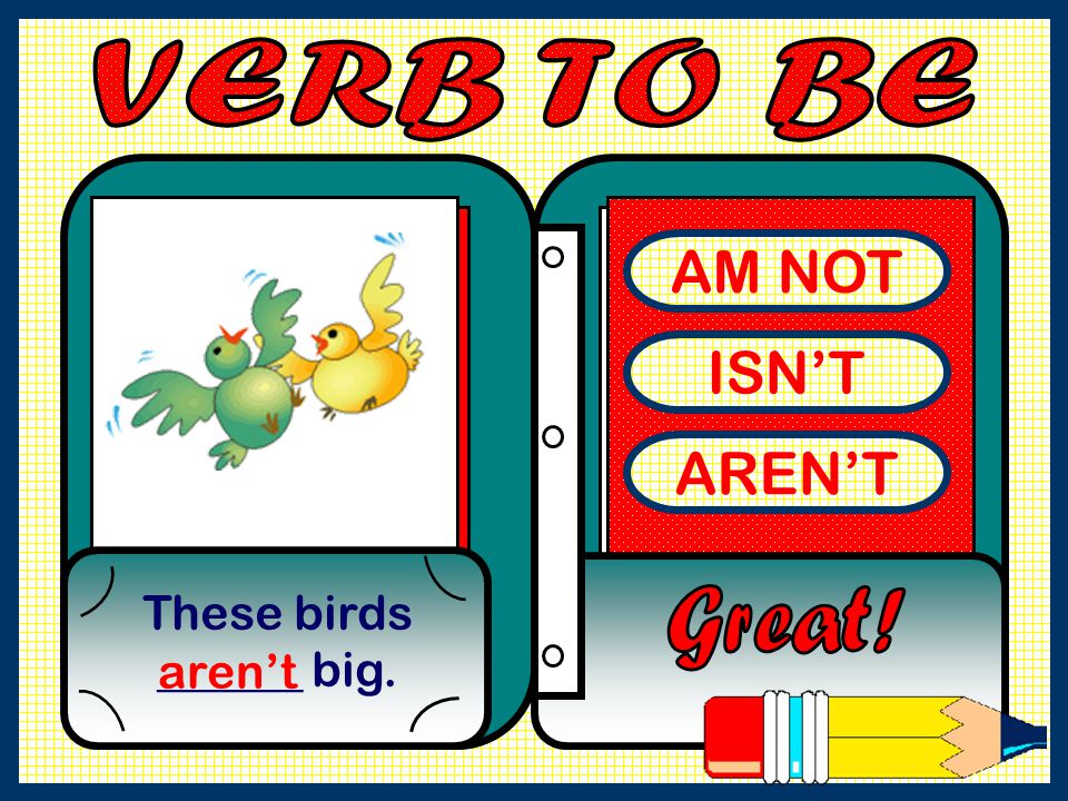 VERB TO BE AM NOT ISN’T AREN’T These birds ______ big. Great! aren’t