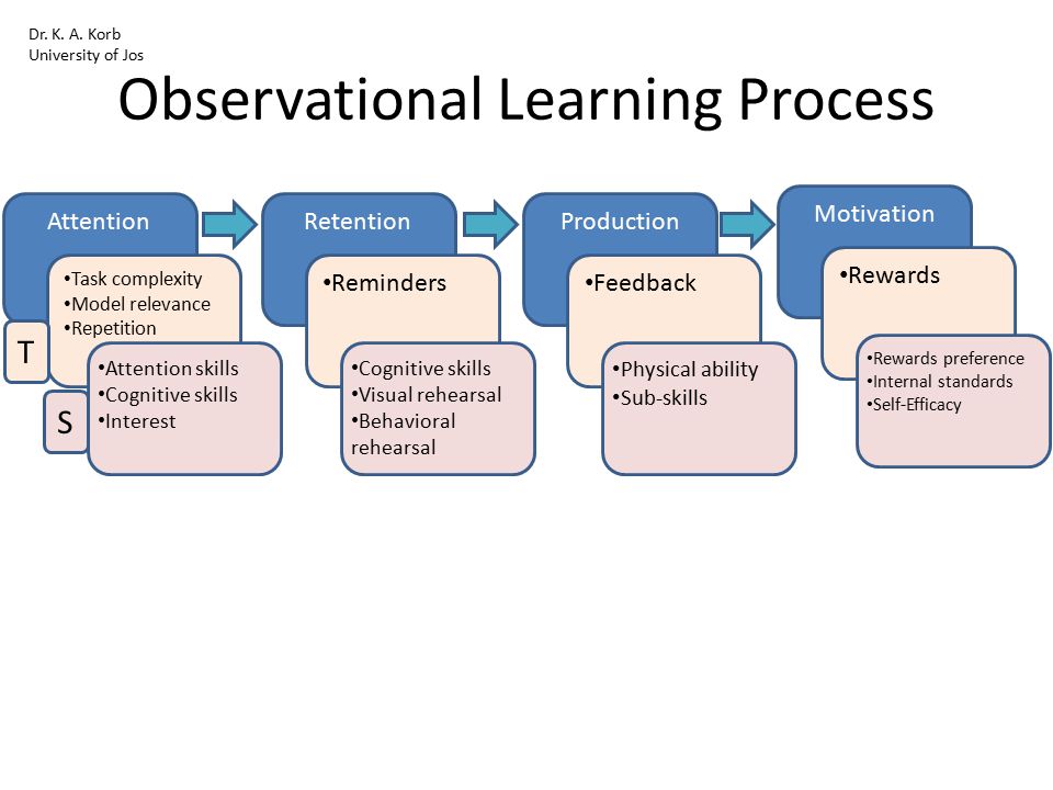 Observational Learning Process