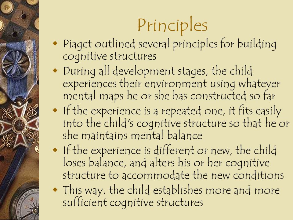 Principles Piaget outlined several principles for building cognitive structures.