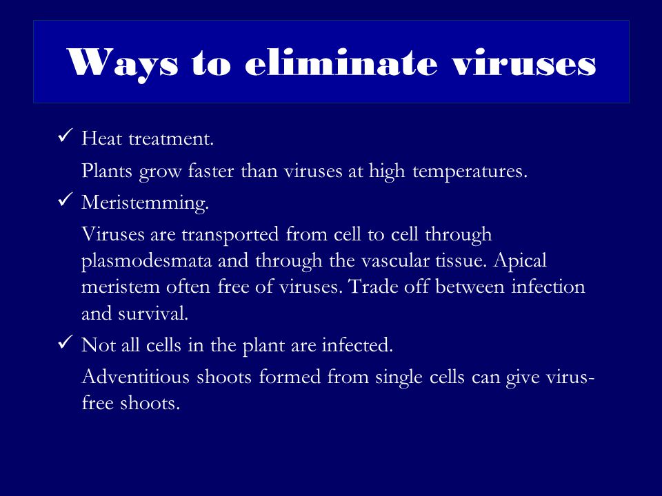 Ways to eliminate viruses