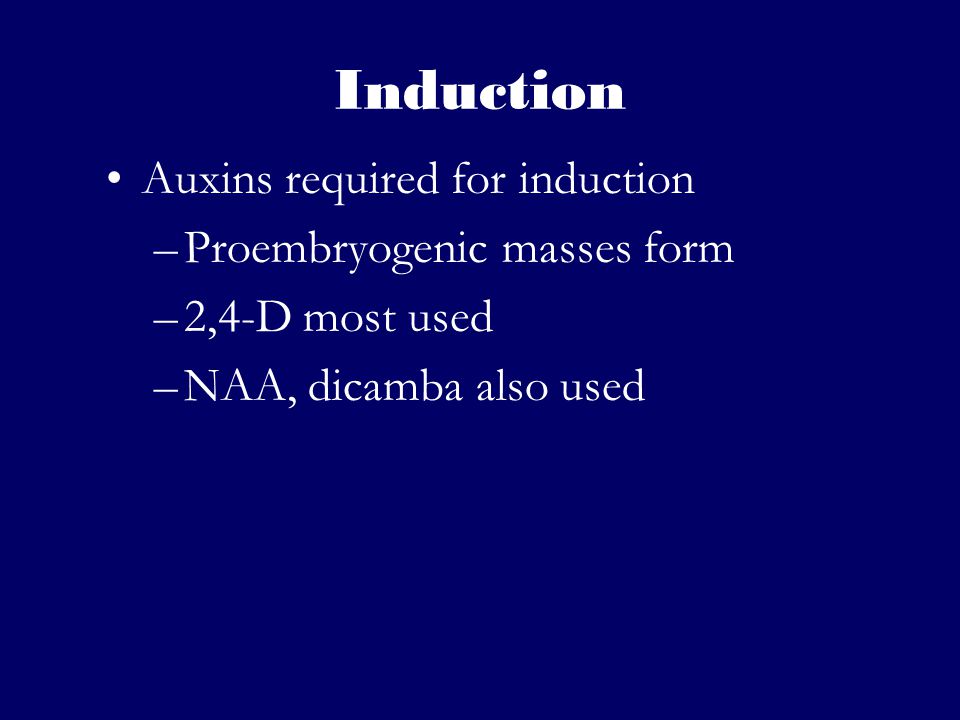 Induction Auxins required for induction Proembryogenic masses form