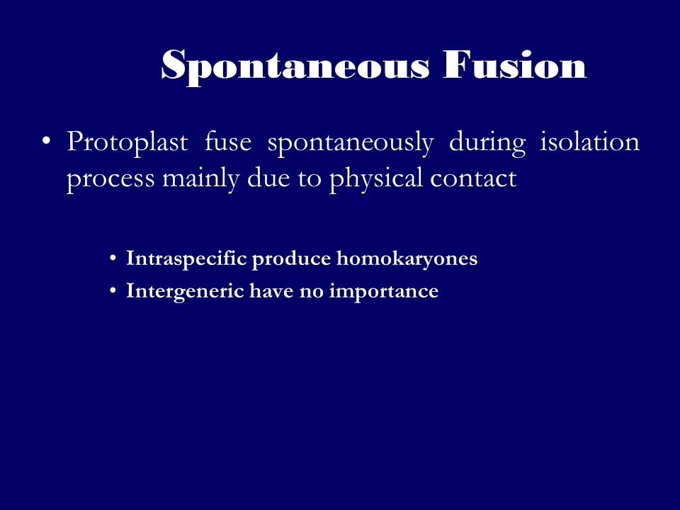 Spontaneous Fusion Protoplast fuse spontaneously during isolation process mainly due to physical contact.