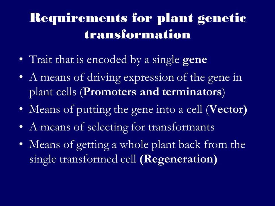 Requirements for plant genetic transformation