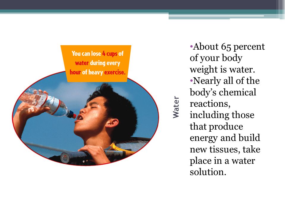 About 65 percent of your body weight is water.