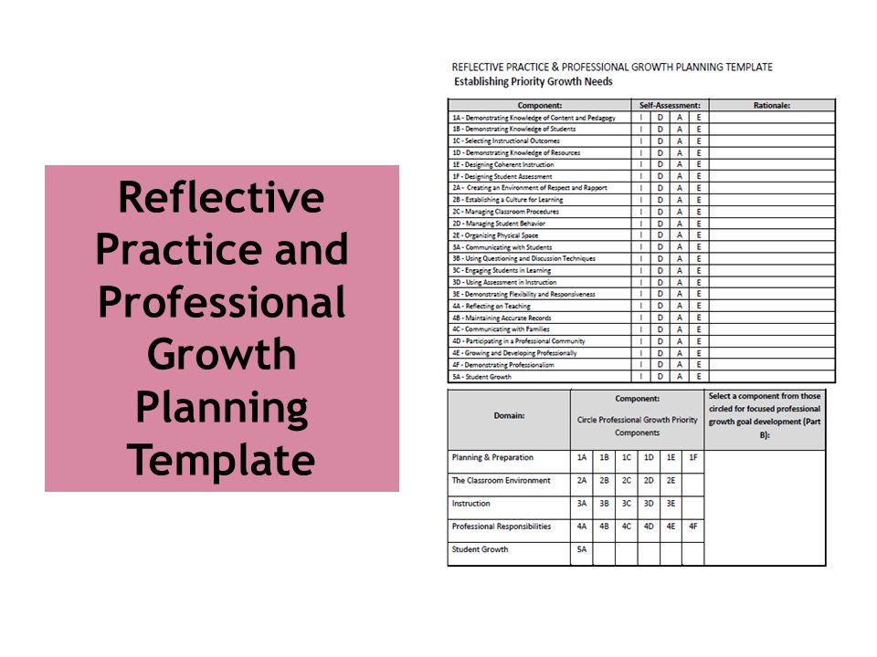 Reflective Practice and Professional Growth Planning Template