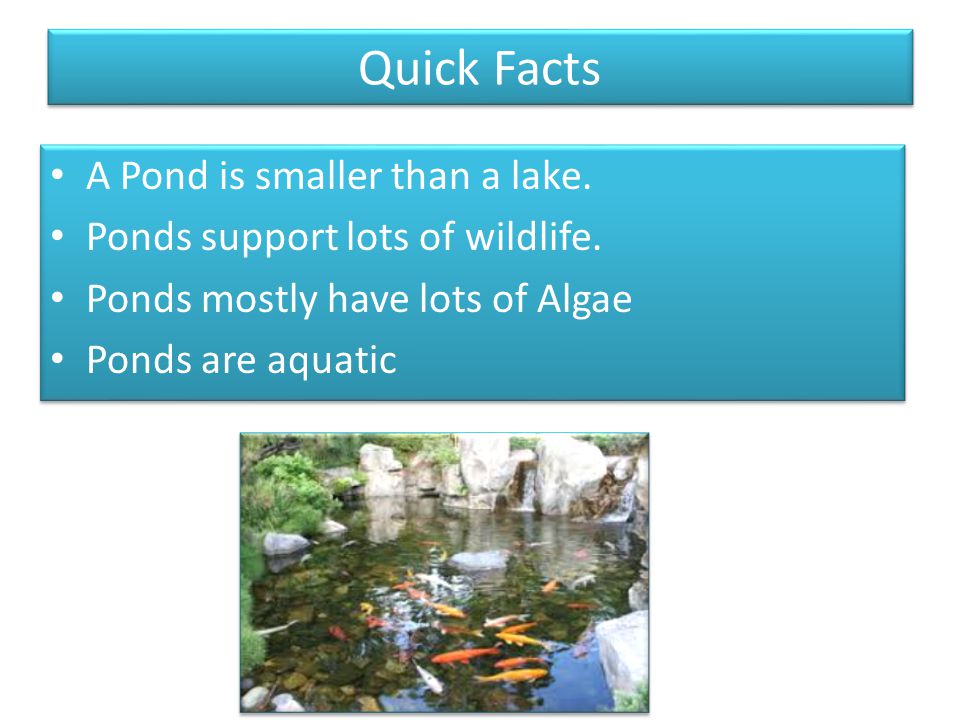 Quick Facts A Pond is smaller than a lake.