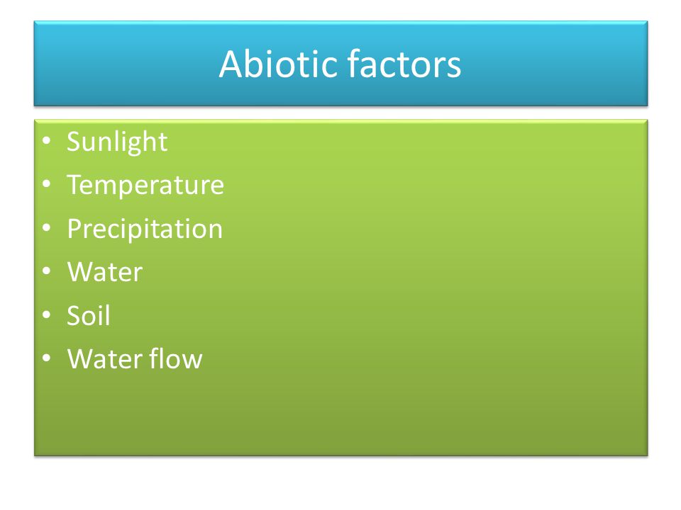 Abiotic factors Sunlight Temperature Precipitation Water Soil