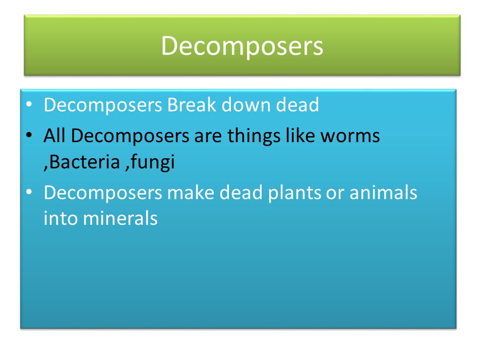 Decomposers Decomposers Break down dead
