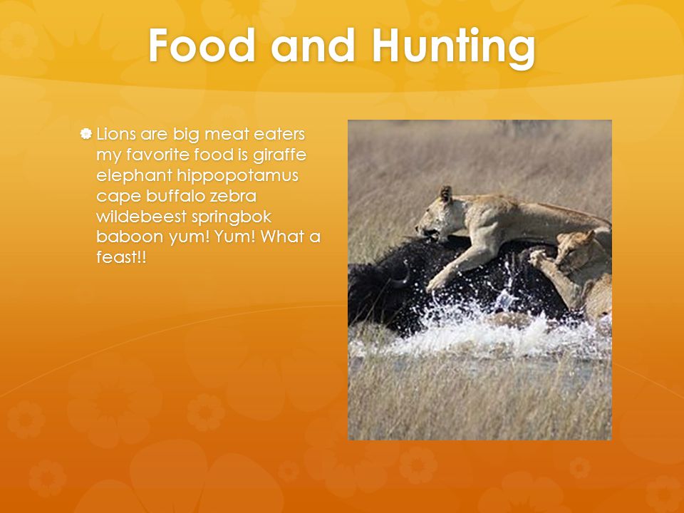 Food and Hunting