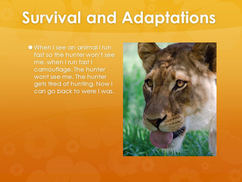 Survival and Adaptations