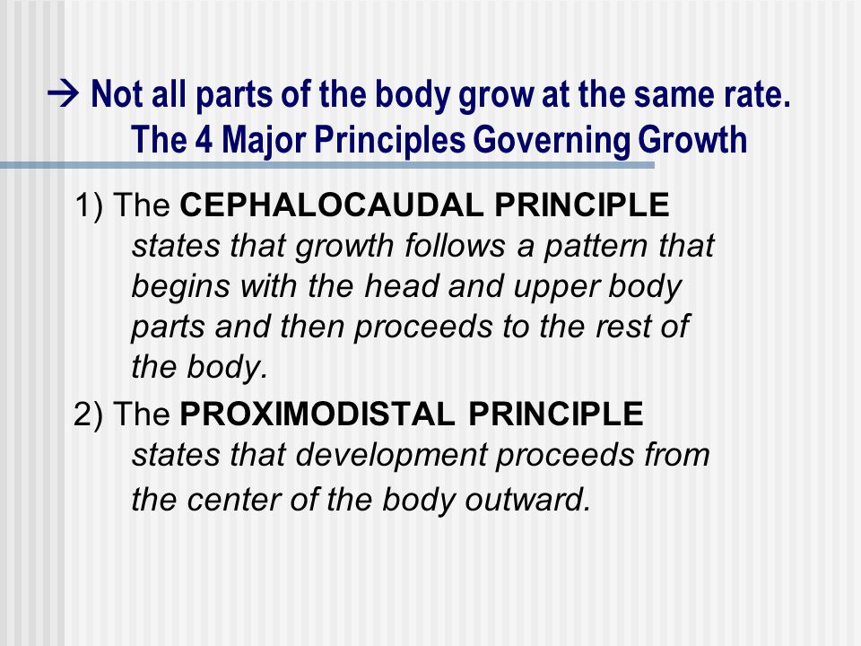 what is the proximodistal principle