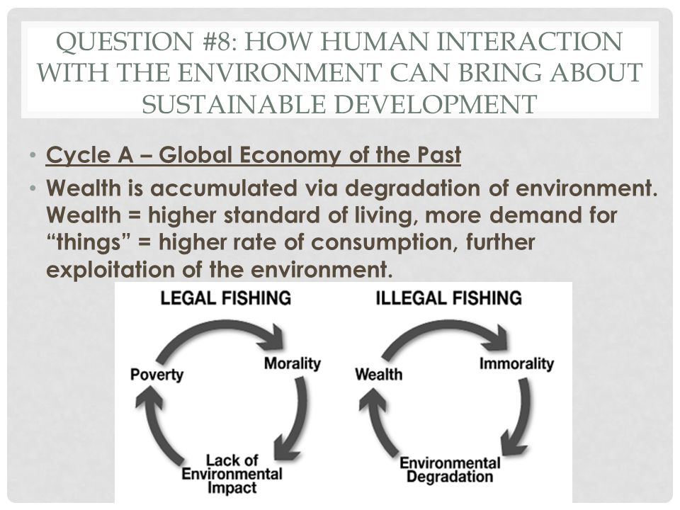 Question #8: How human interaction with the environment can bring about sustainable development