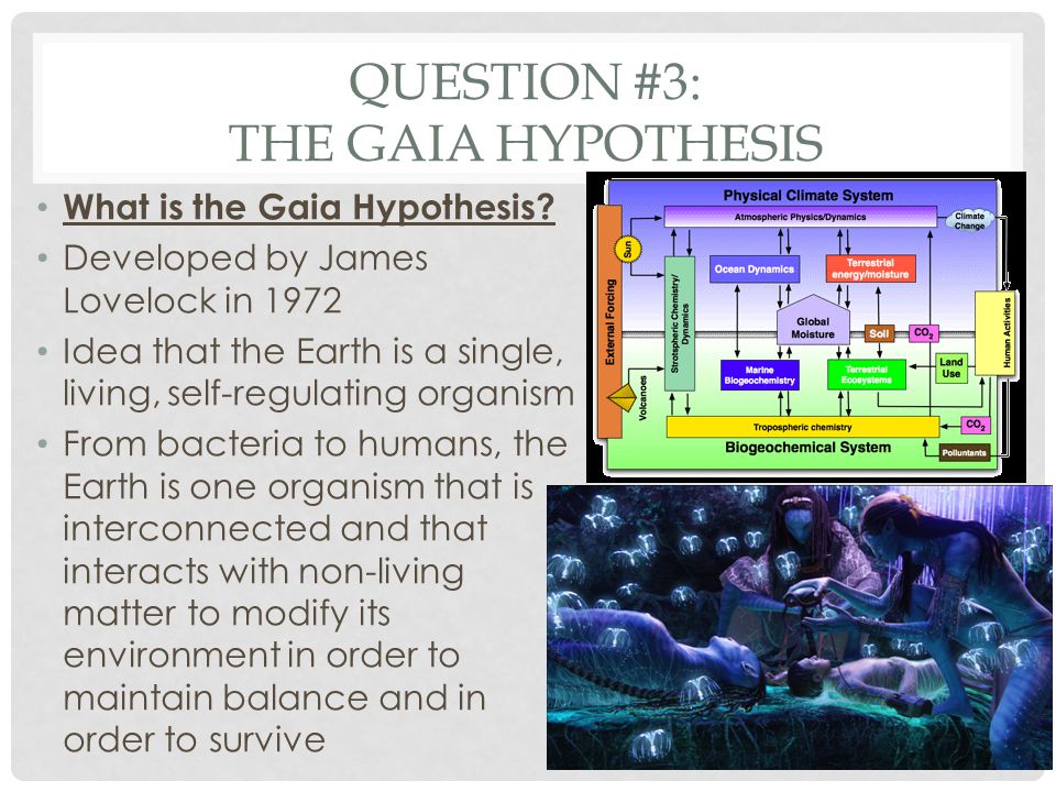 Question #3: The Gaia hypothesis