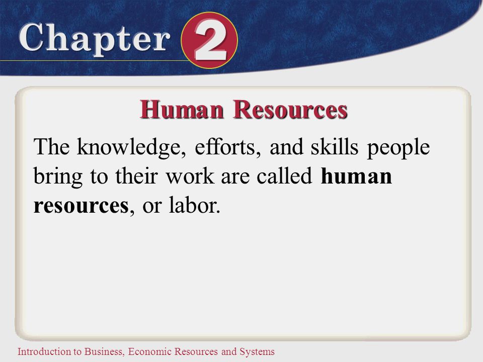 Human Resources The knowledge, efforts, and skills people bring to their work are called human resources, or labor.