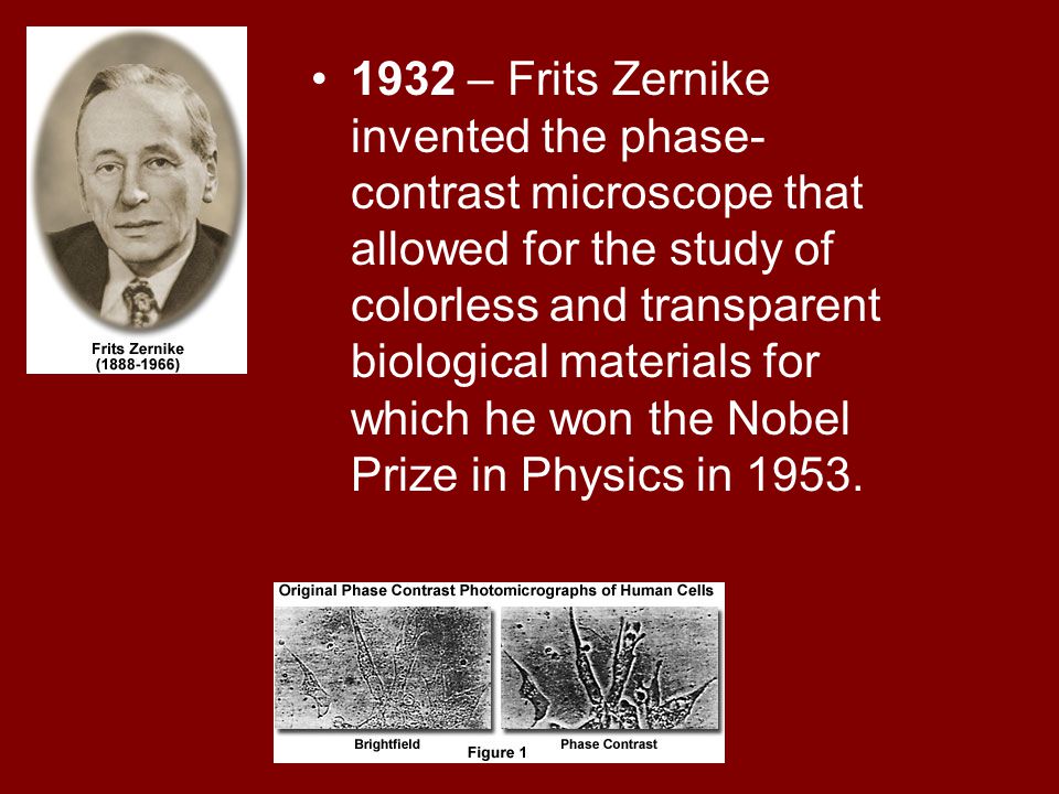 The History of the Microscope - ppt video online download