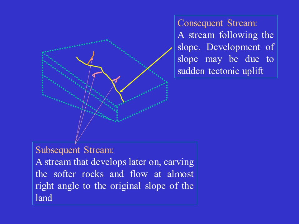 Consequent Stream: A stream following the slope. Development of slope may be due to sudden tectonic uplift.