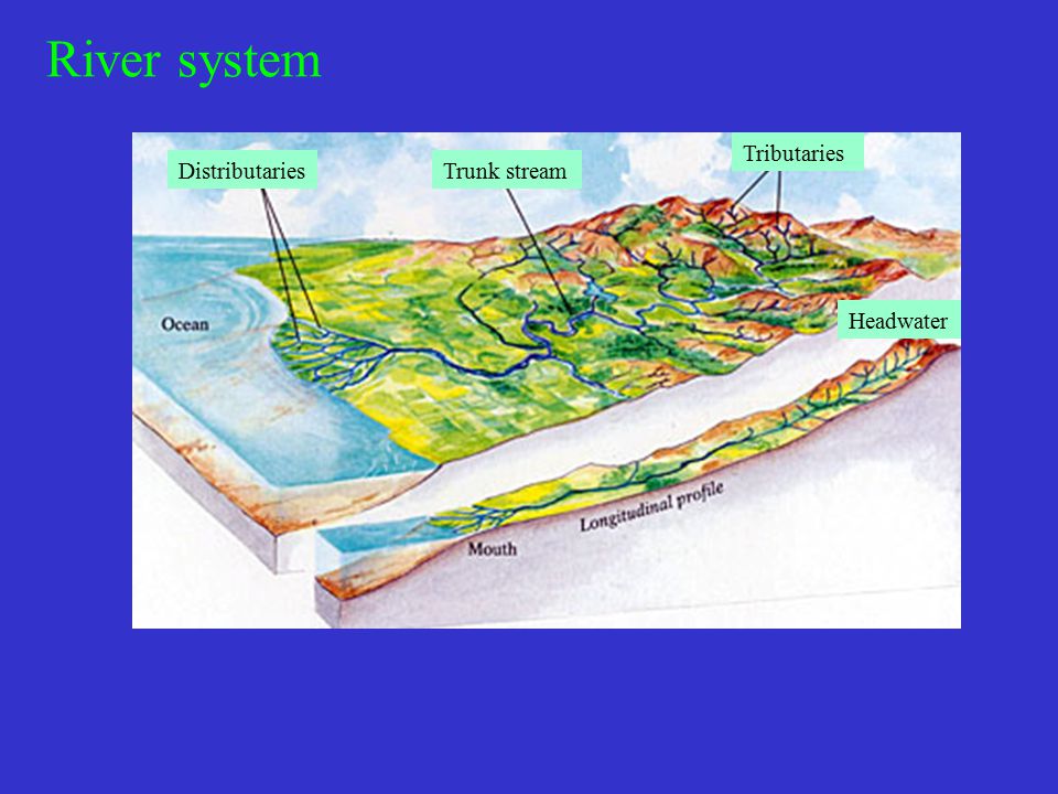 River system Headwater Tributaries Trunk stream Distributaries