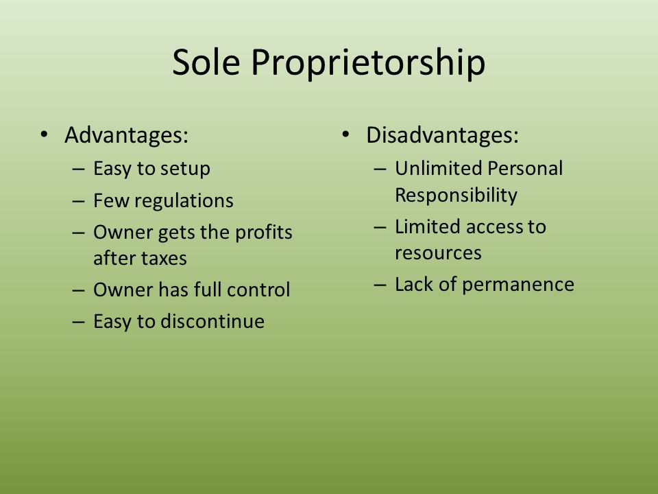 Business Organizations Ppt Video Online Download