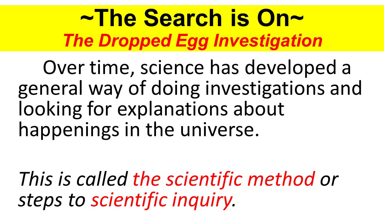 ~The Search is On~ The Dropped Egg Investigation