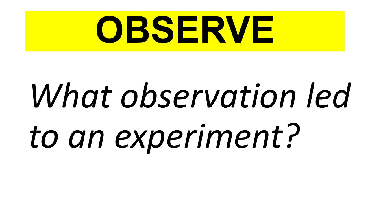 OBSERVE What observation led to an experiment