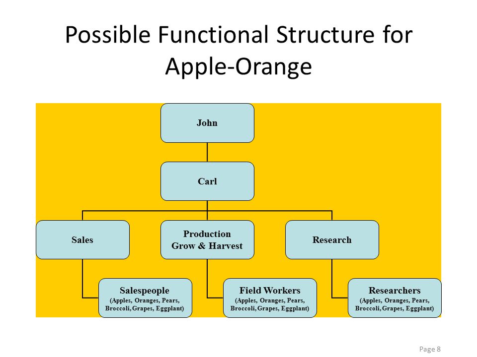 organisational structure of apple inc