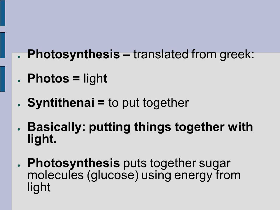 Photosynthesis – translated from greek: