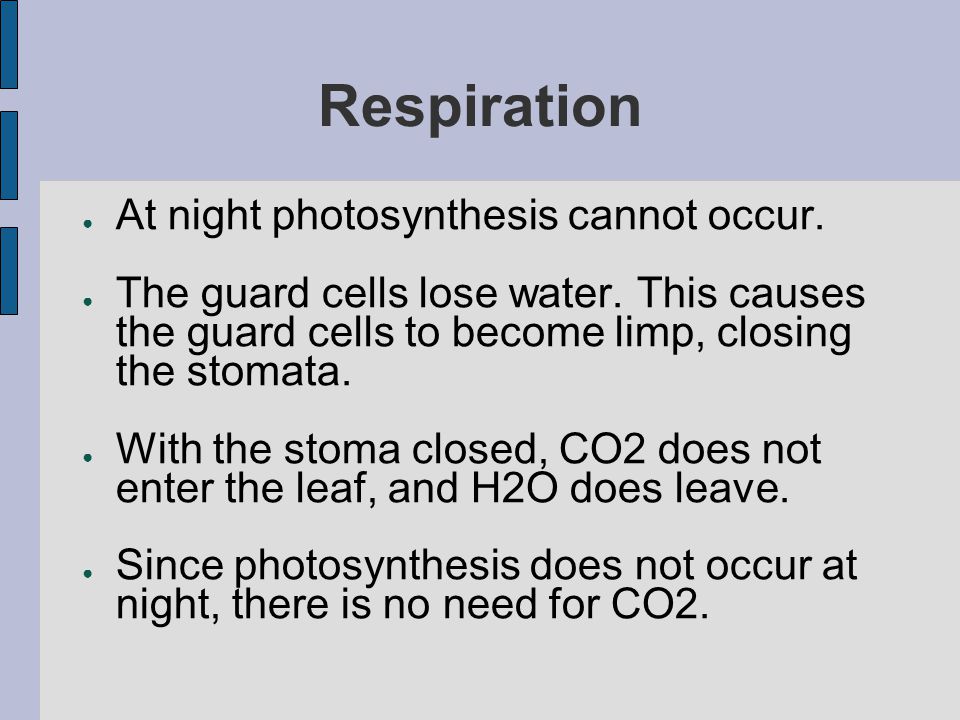 Respiration At night photosynthesis cannot occur.