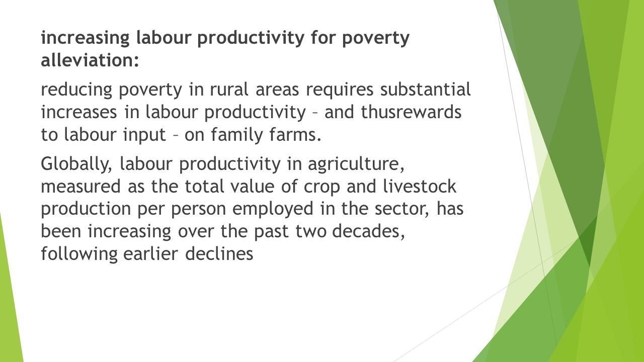 increasing labour productivity for poverty alleviation: reducing poverty in rural areas requires substantial increases in labour productivity – and thusrewards to labour input – on family farms.