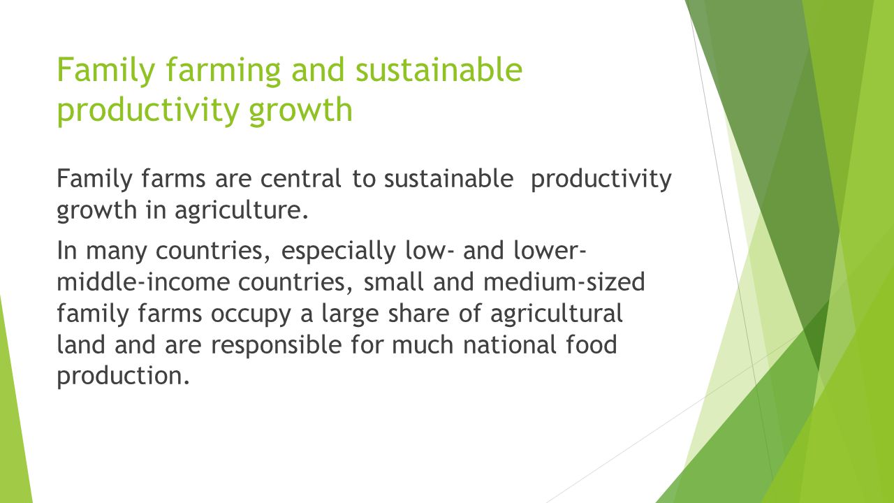 Family farming and sustainable productivity growth