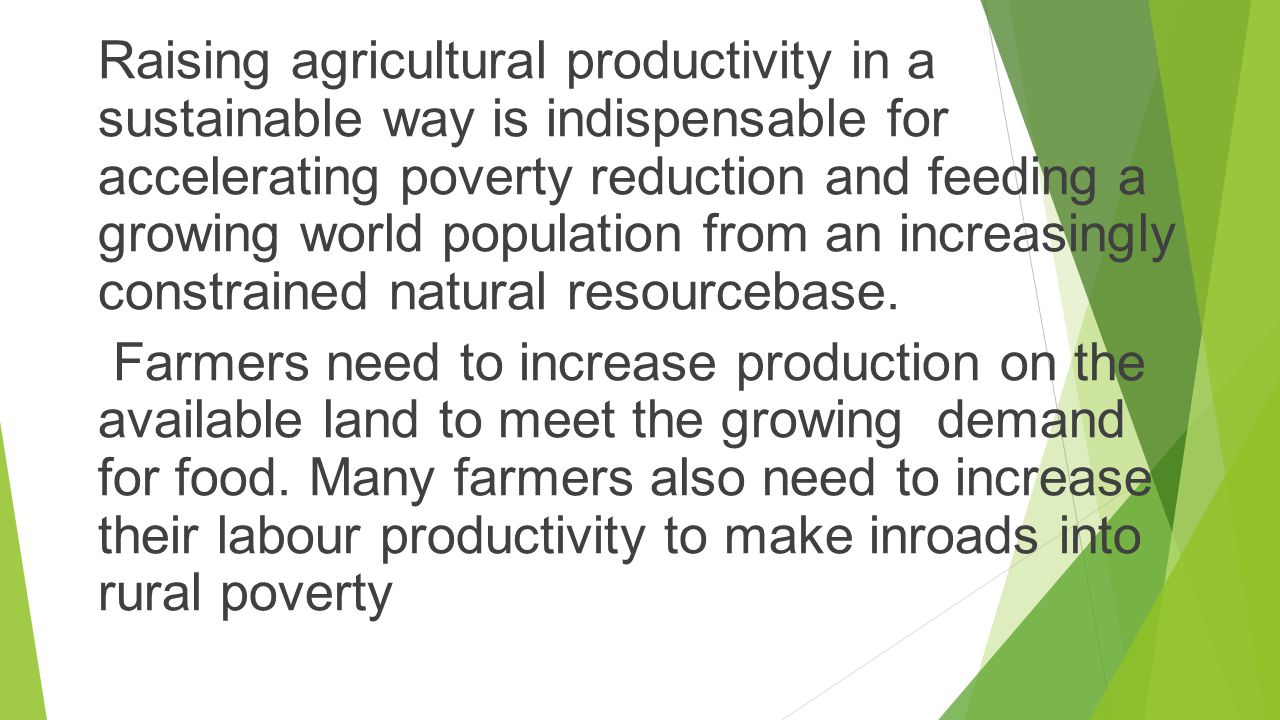 Raising agricultural productivity in a sustainable way is indispensable for accelerating poverty reduction and feeding a growing world population from an increasingly constrained natural resourcebase.