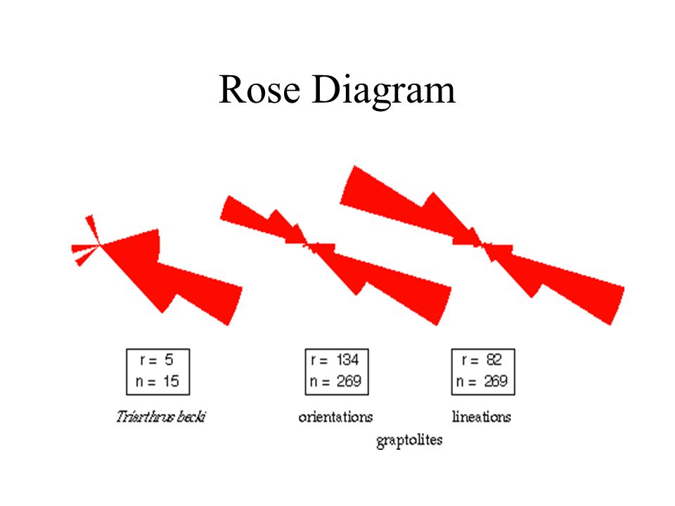 rose diagram interpretation